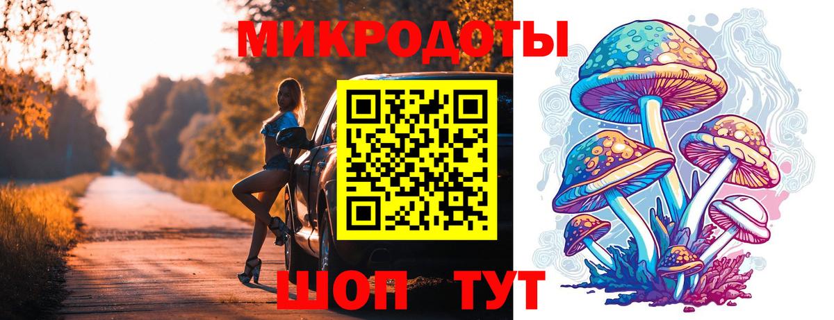 Псилоцибиновые грибы GOLDEN TEACHER Касимов