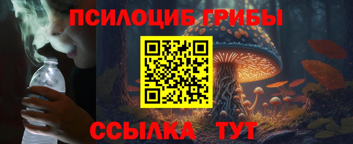 купить  цена  Галлюциногенные грибы GOLDEN TEACHER  Касимов  Вход с VPN  Псилоцибиновые грибы MAGIC MUSHROOMS 